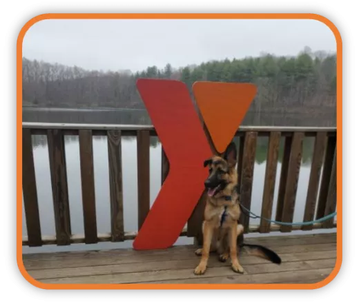 membership regulations b