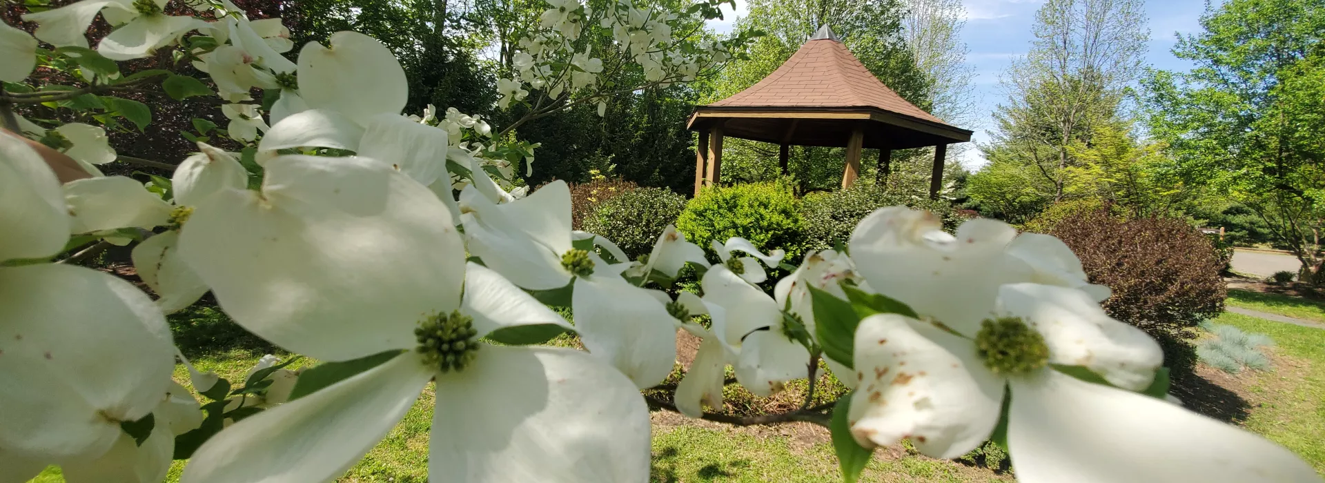 Memorial Forest