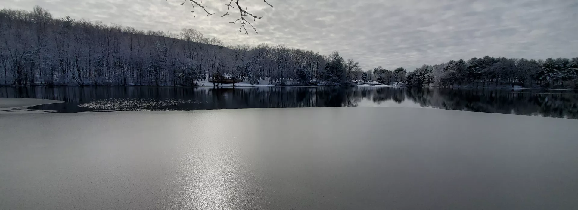 Winter Pond