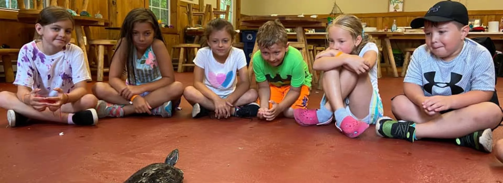 nature center and shelly