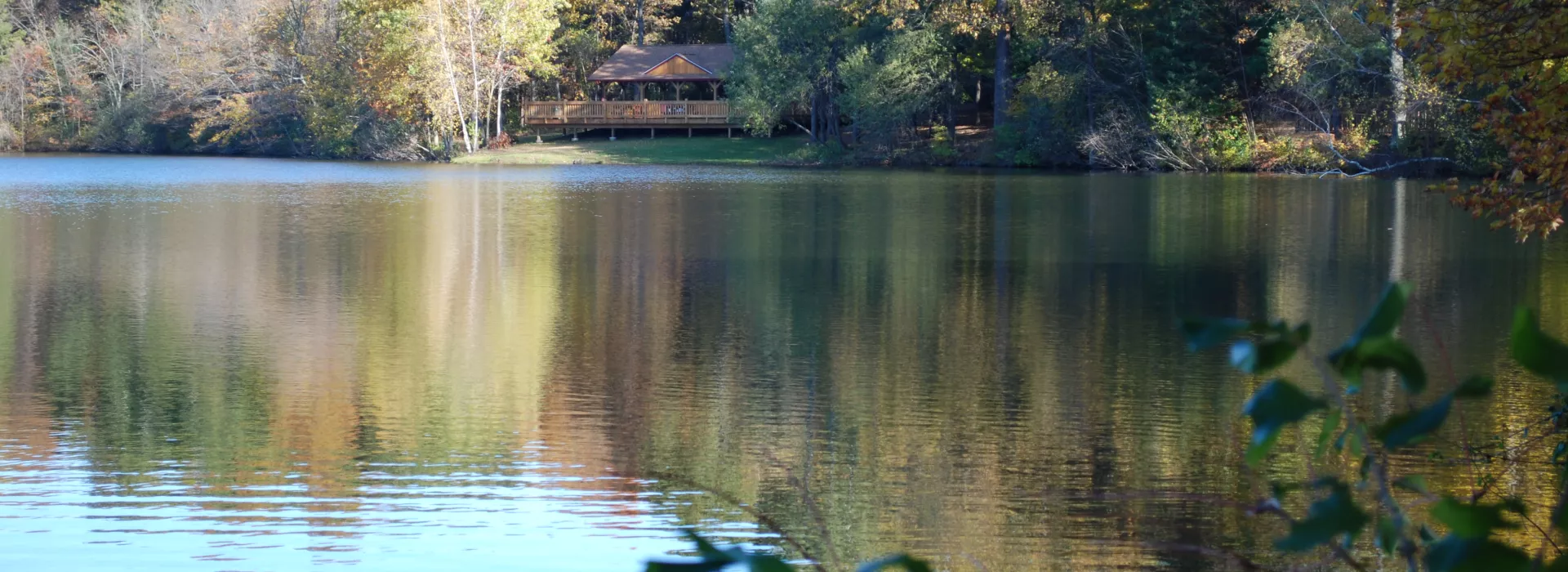 Programs and Rentals